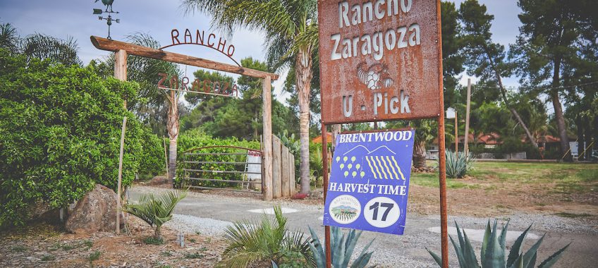 Rancho Zaragoza