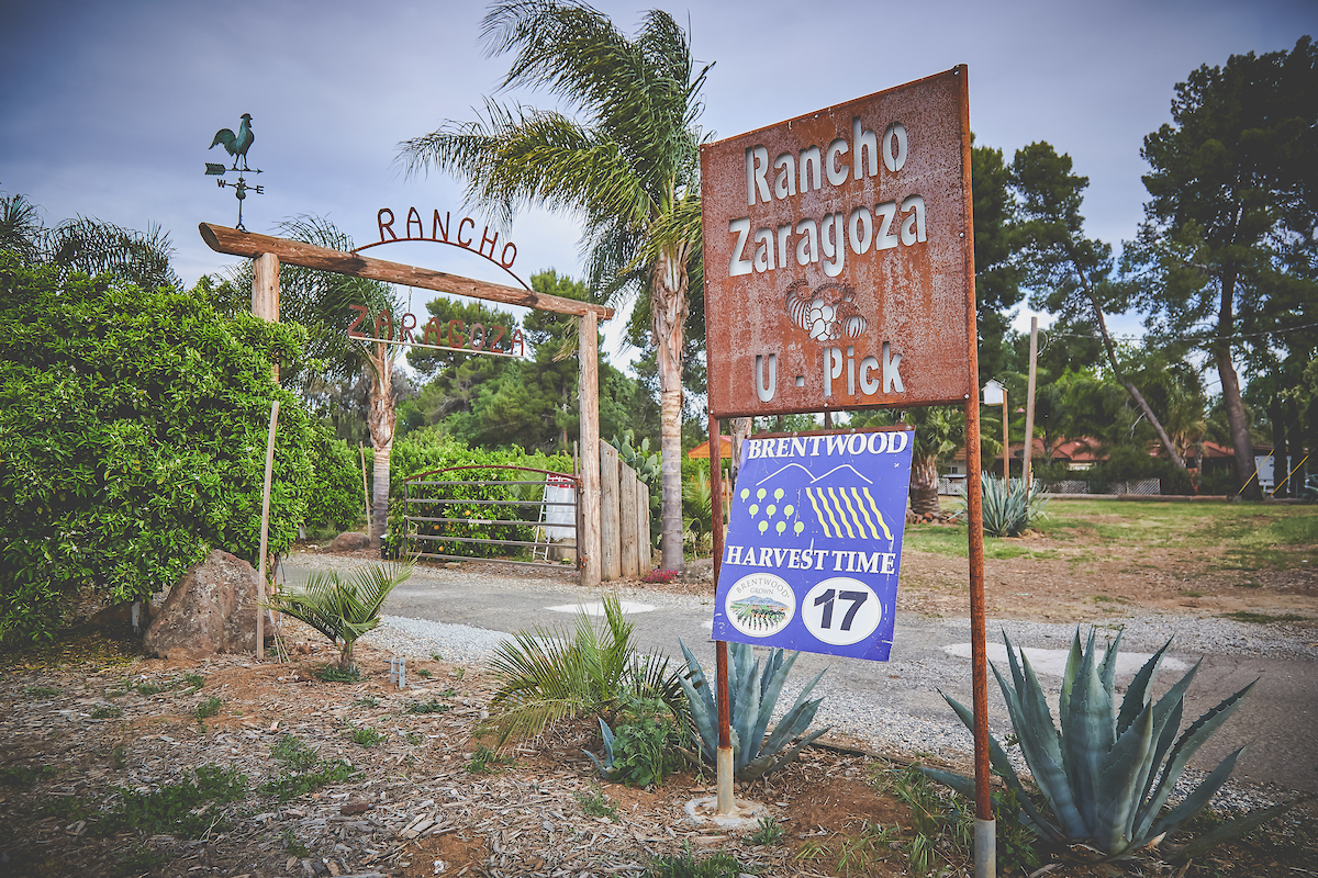Rancho Zaragoza