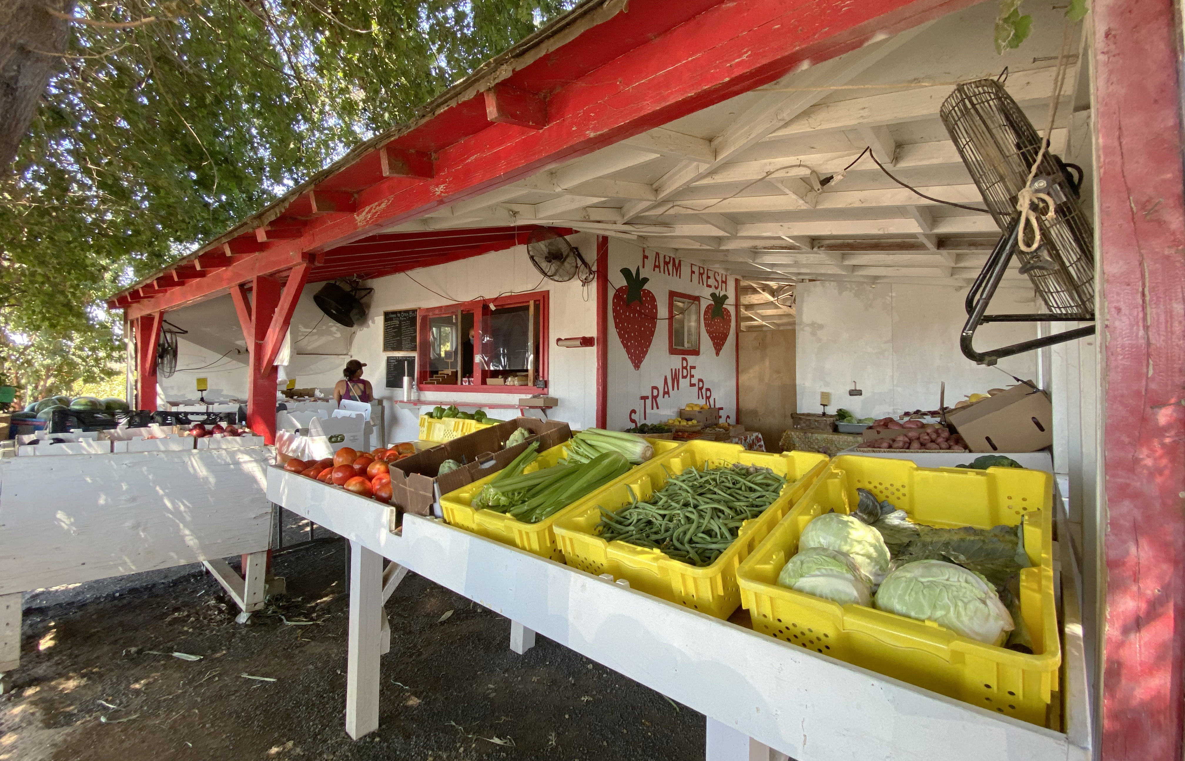 Berry Best Farm Stand