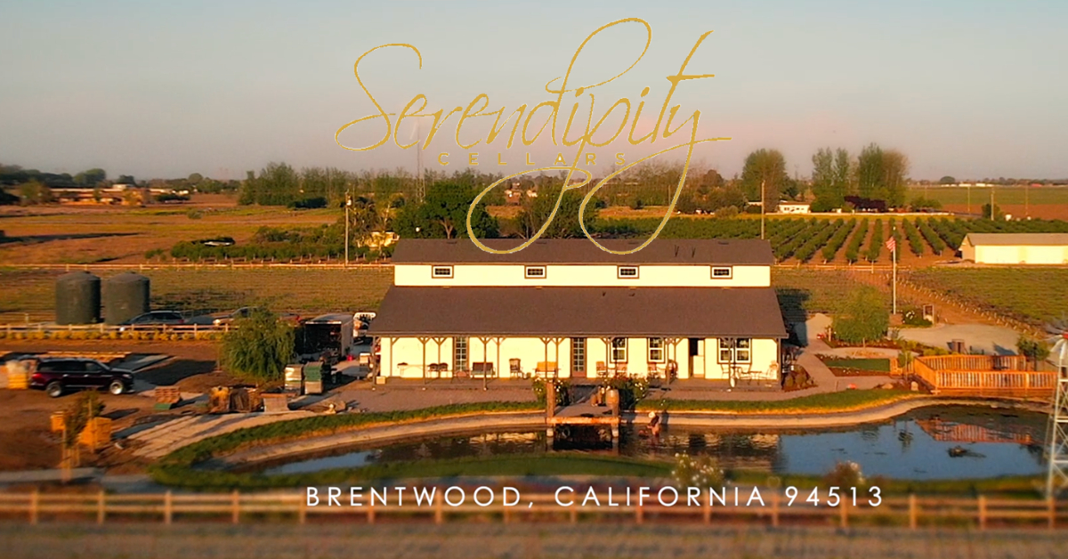 Serendipity Cellars