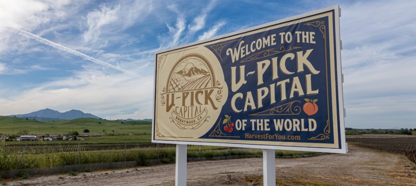 Welcome to the U-Pick Capital Brentwood California